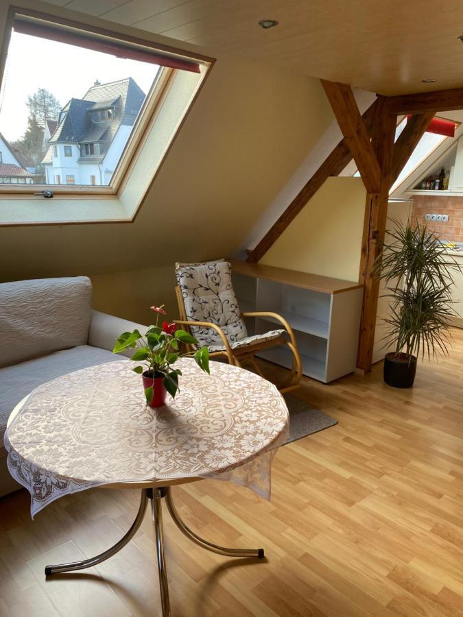 Helles Und Charmantes Loft Mit Herrlichem Blick Dresden Luaran gambar