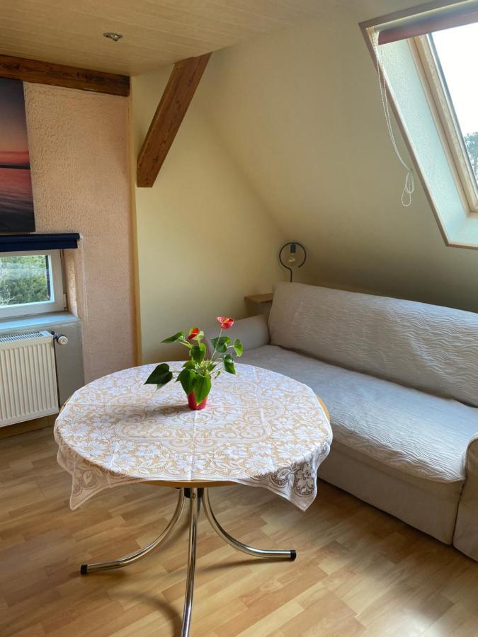 Helles Und Charmantes Loft Mit Herrlichem Blick Dresden Luaran gambar