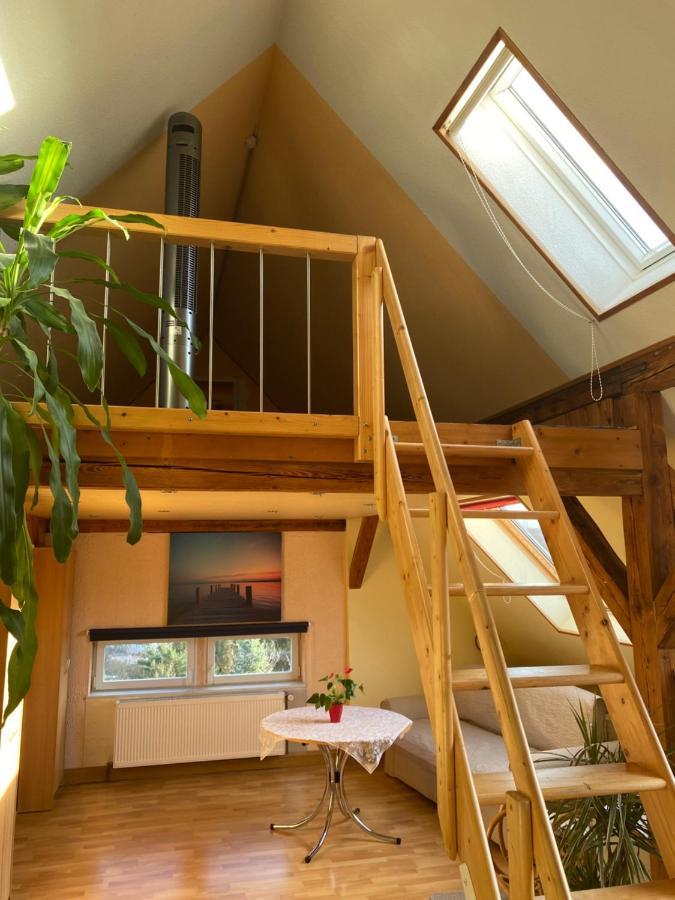 Helles Und Charmantes Loft Mit Herrlichem Blick Dresden Luaran gambar